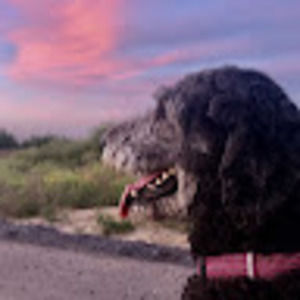 Meet your Posher, Eliana